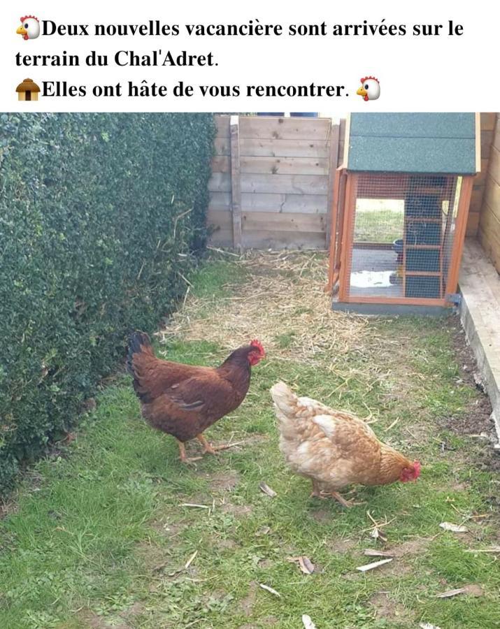 فيلا Le Chal Adret Cardonville المظهر الخارجي الصورة
